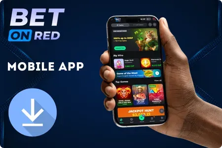 https://betonred-fr.net/app/
